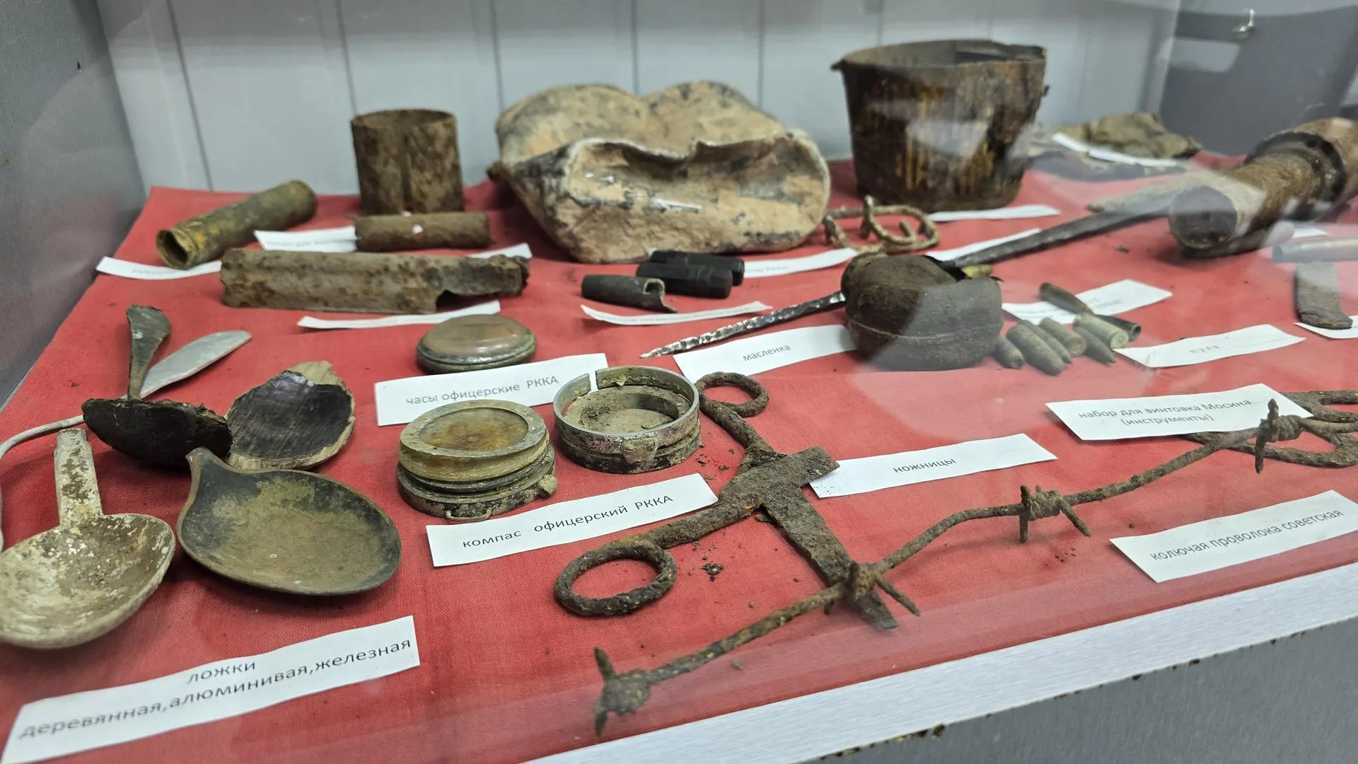 МедиаБанк Подмосковья/Марина Анисимова