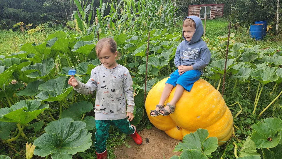 Фото: МедиаБанк Подмосковья/ Дмитрий Беденко