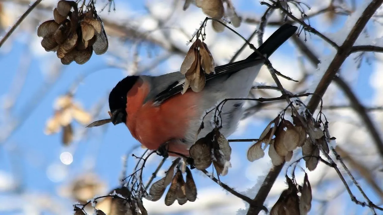 личный архив Константина Кошелева