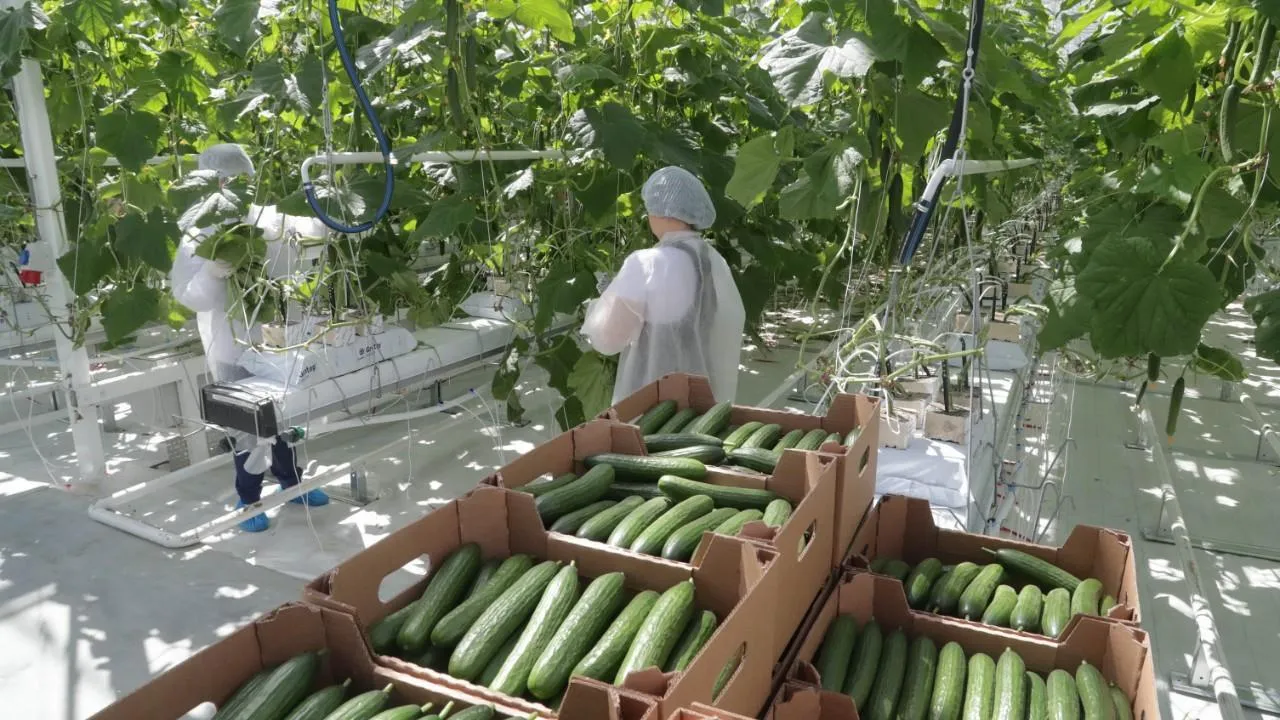 медиасток.рф