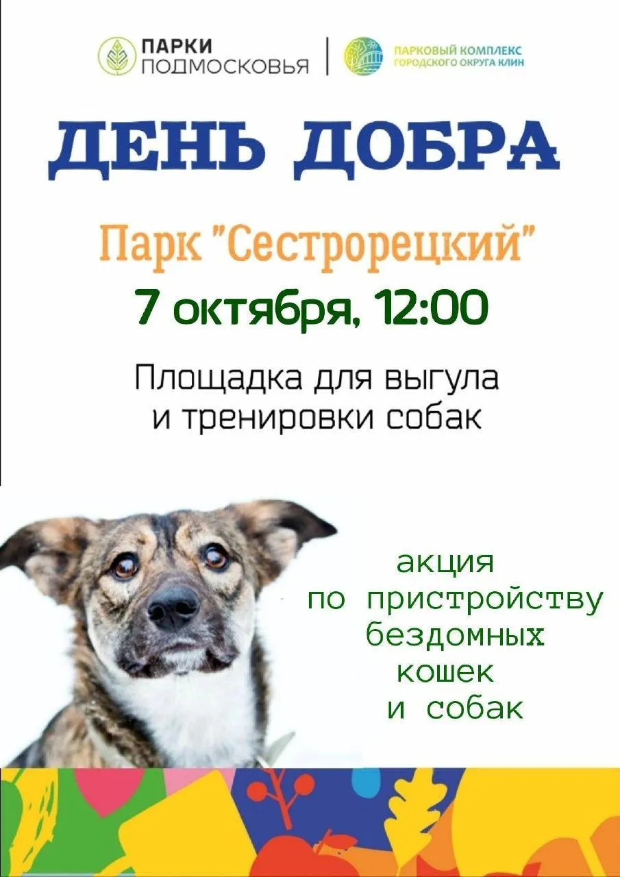 Фото: Парки Клин