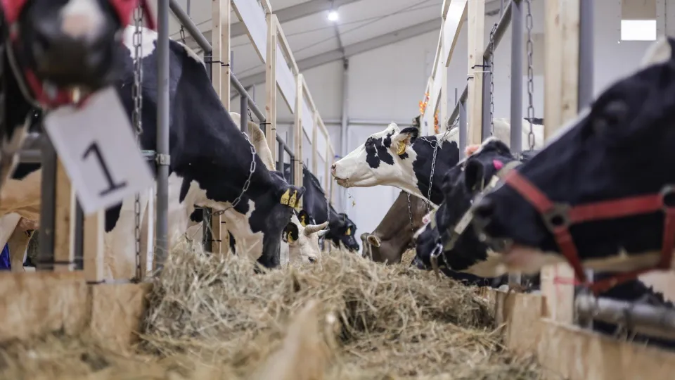 Фото: Министерство сельского хозяйства и продовольствия МО