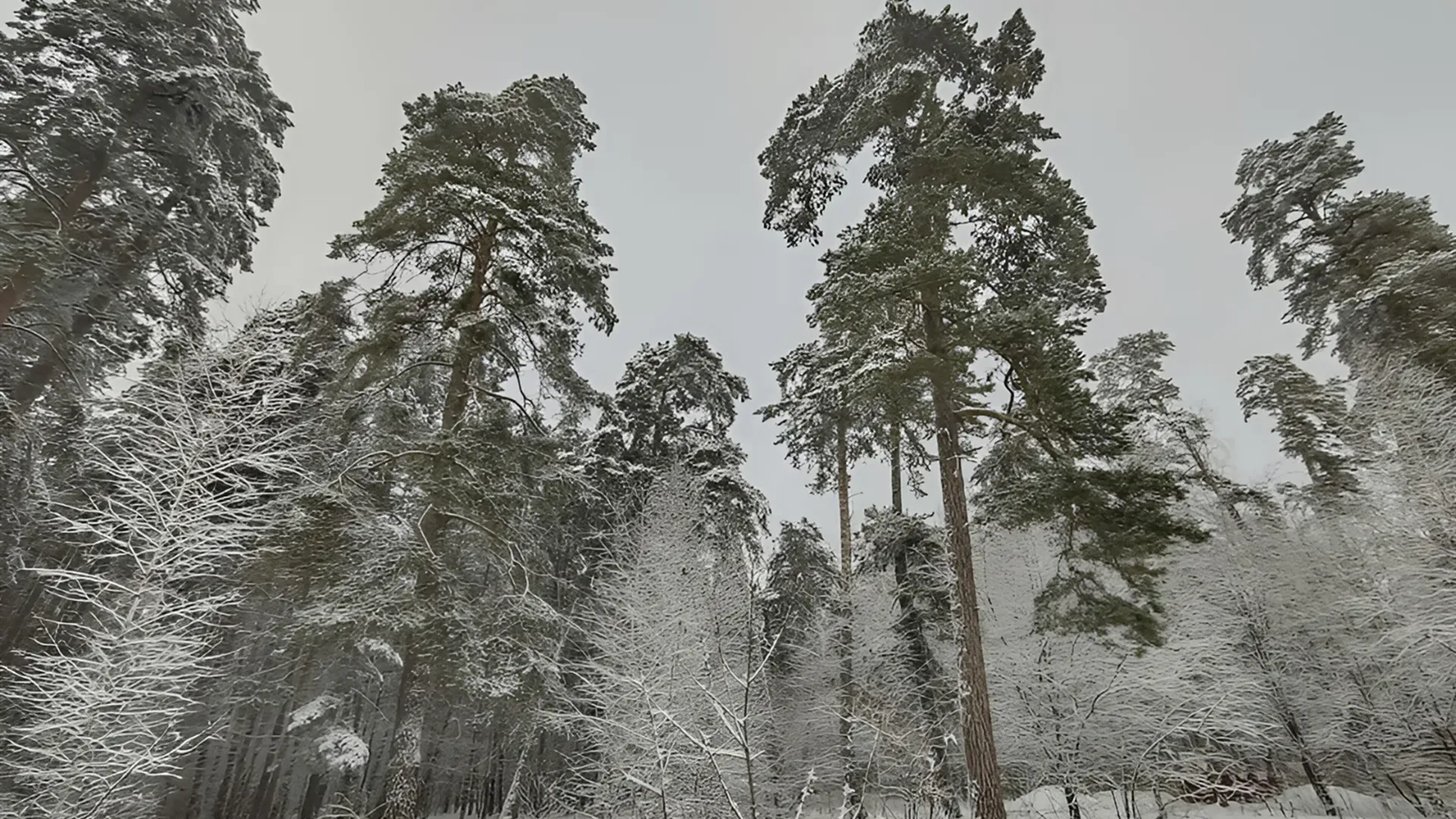 Фото: REGIONS/Алексей Селиверстов