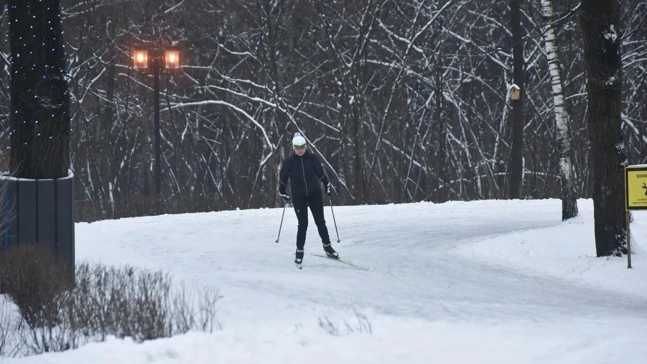 Более 160 лыжных трасс подготовили в Московской области