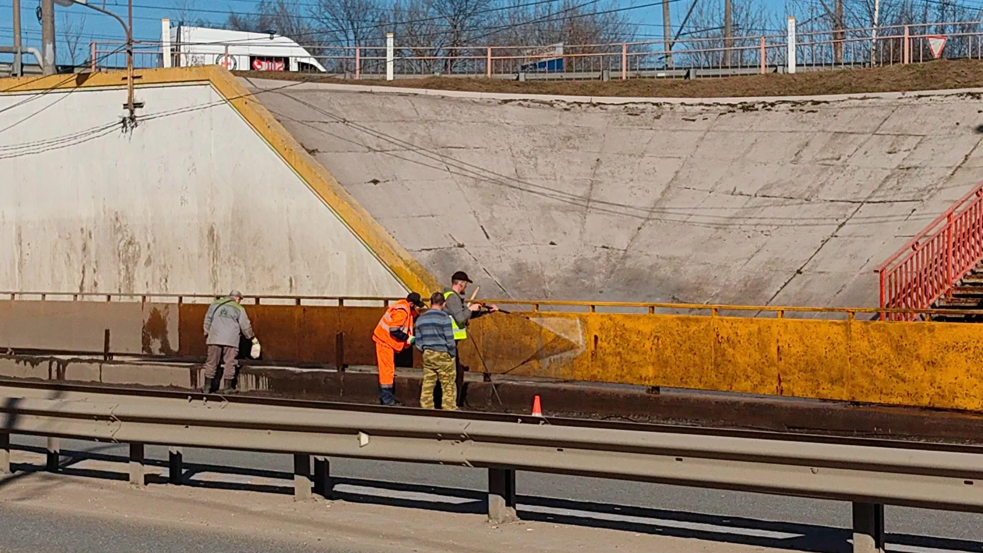 Елена Катасонова