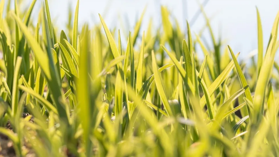 Фото: unsplash.com