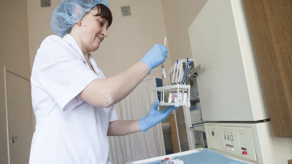 Фото: Медиаархив Подмосковья