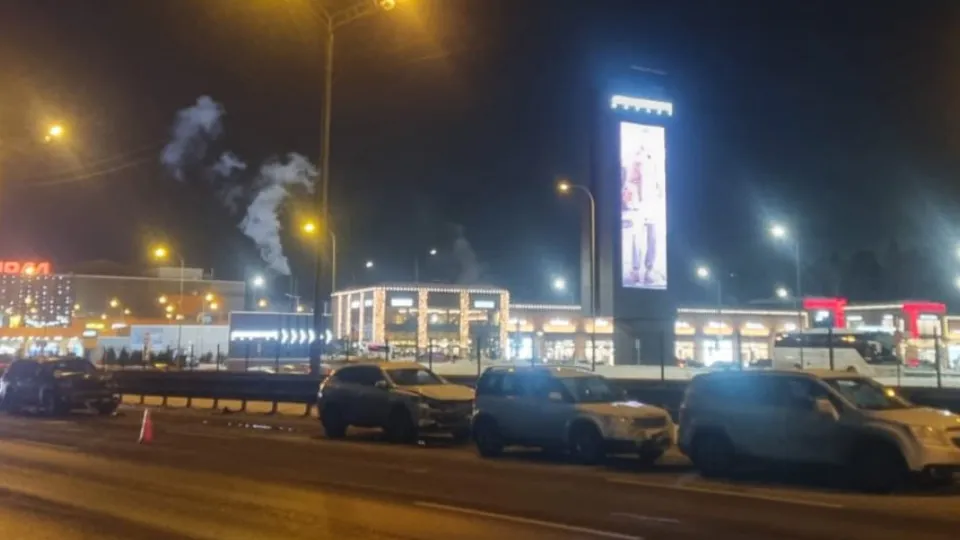 Фото: ГУ МВД по Московской области