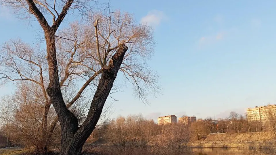 Фото: пресс-служба администрации г.о. Воскресенск