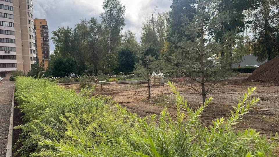 Фото: Мария Овчинникова