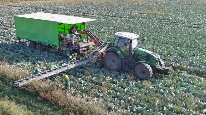 Фото: Пресс-служба Минсельхозпрод МО