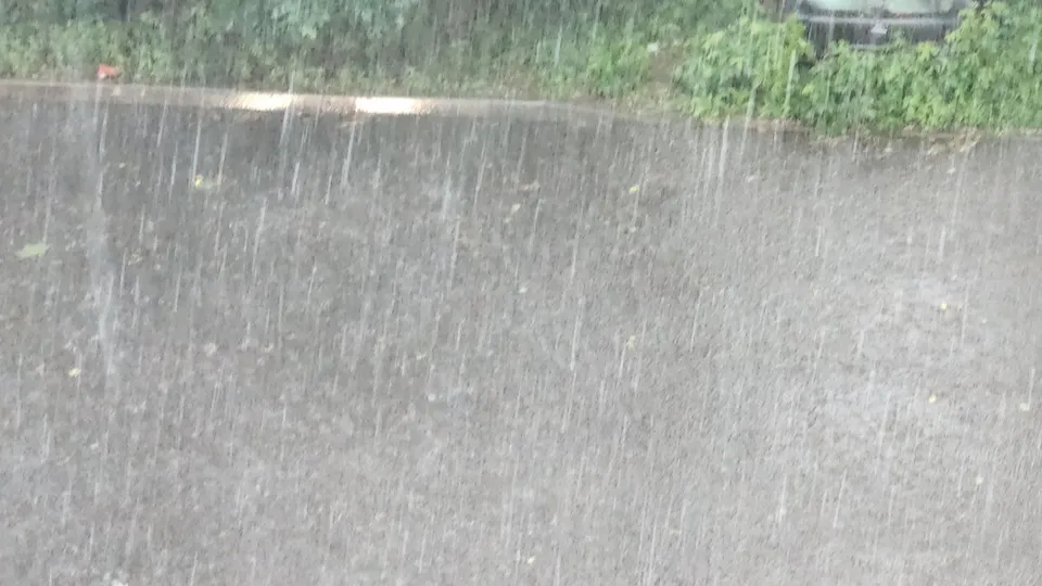 Фото: REGIONS/Наталия Надточая