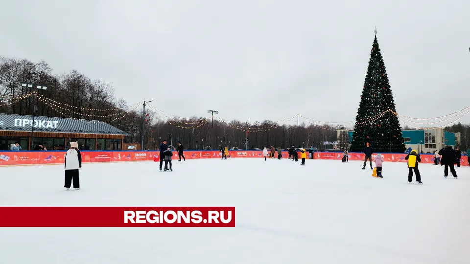 Фото: Юлия Андросова