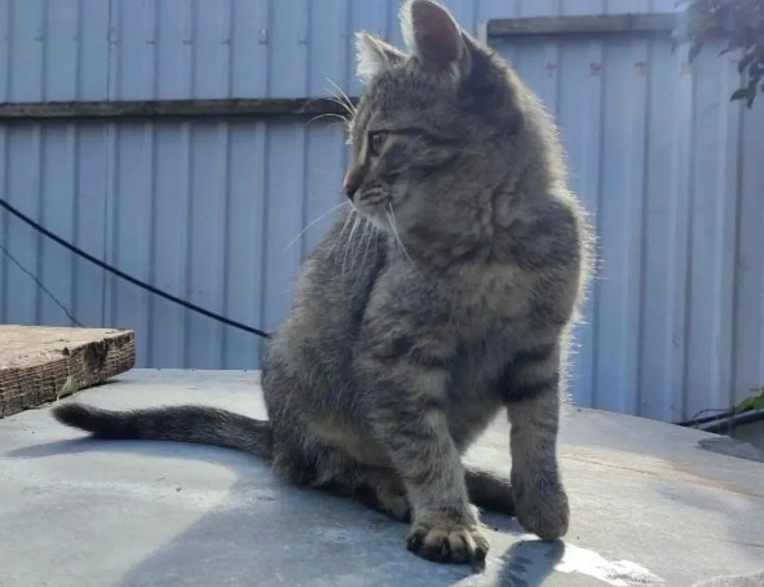 Фото: Подслушано на Глебовке (новая) / ВКонтакте