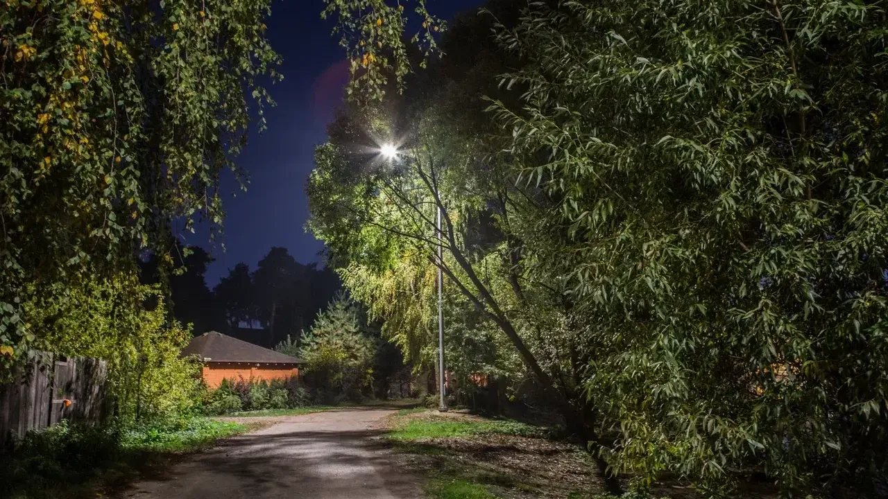 Фото: Министерство благоустройства Московской области