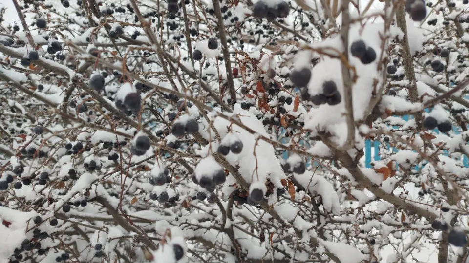 Фото: REGIONS/Юлия Куделькина