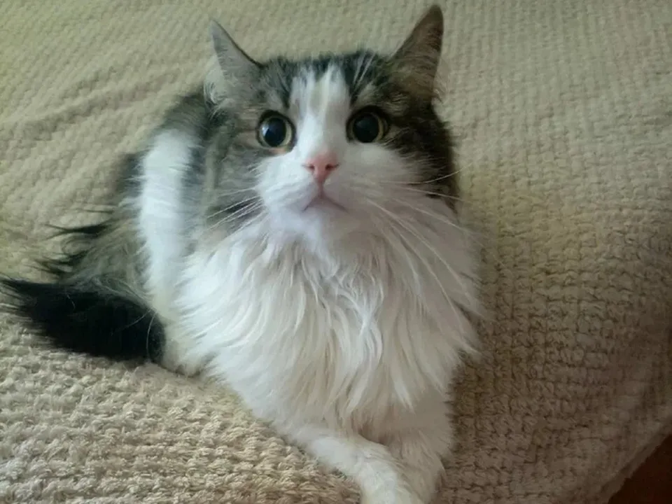 Фото: REGIONS/Эльвира Сафина&nbsp;