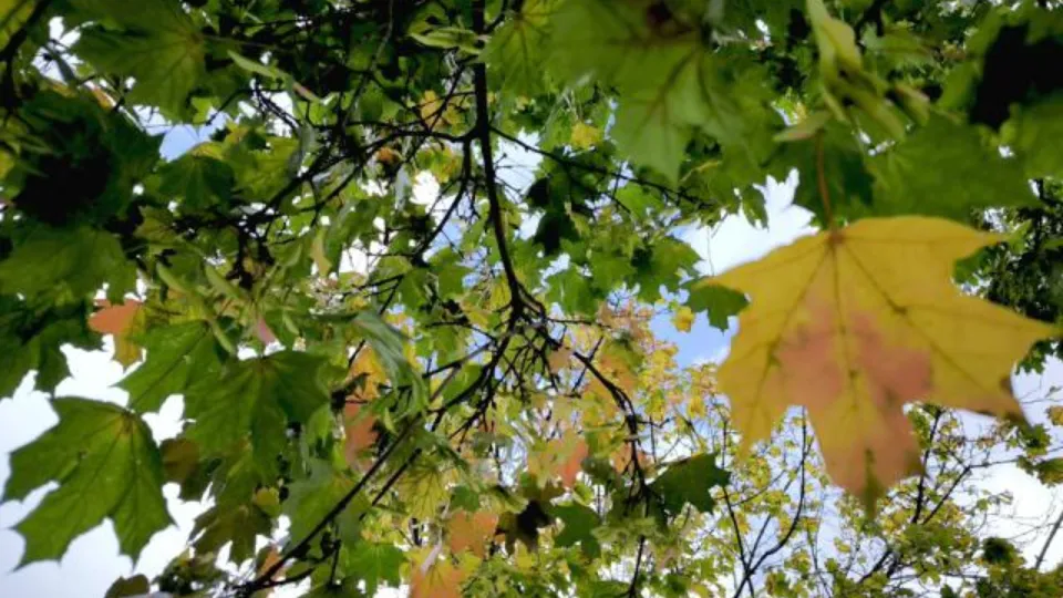 Фото: REGIONS/Роман Малышенко