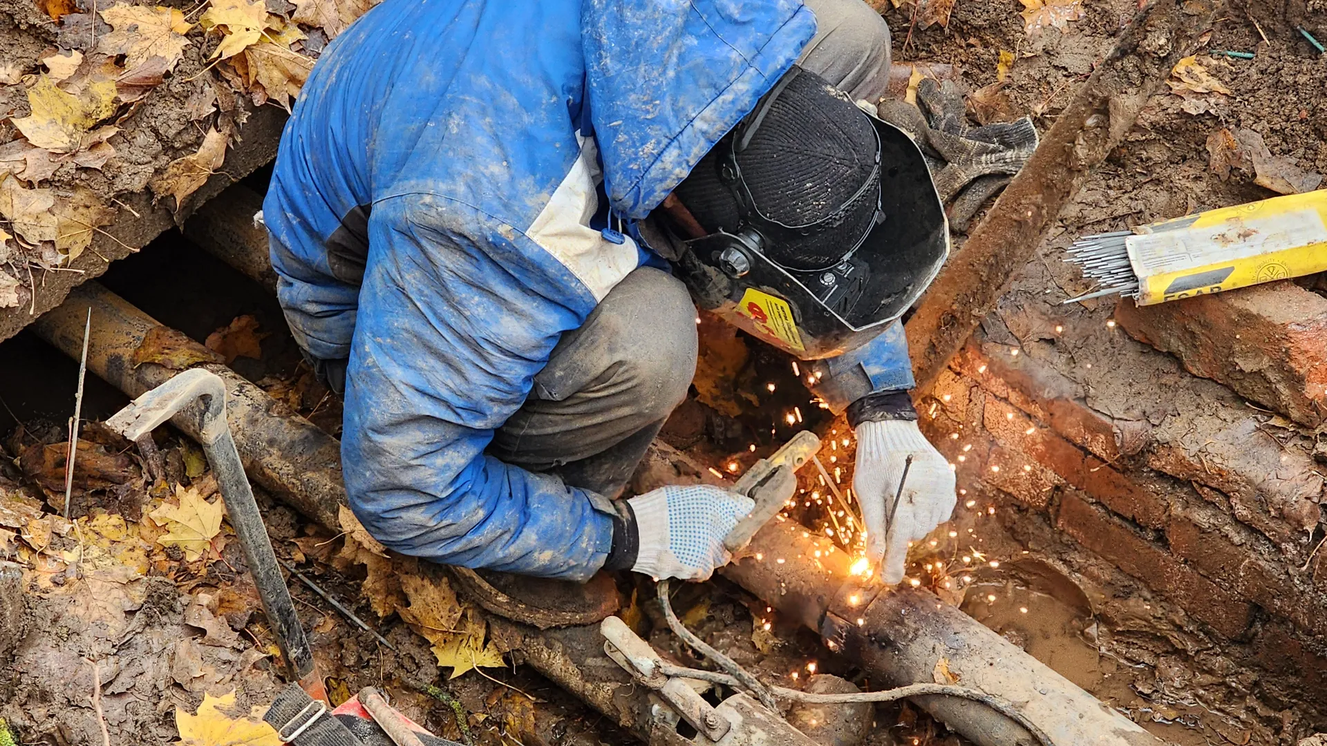 Фото: МедиаБанк Подмосковья/Дмитрий Алексеенко