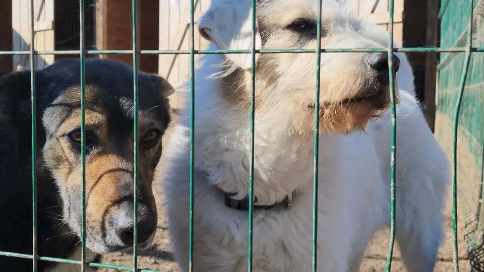 Фото: REGIONS/Артем Мишуков