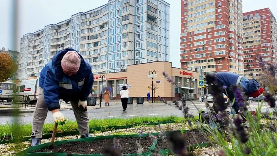Фото: пресс-служба администрации г.о. Клин