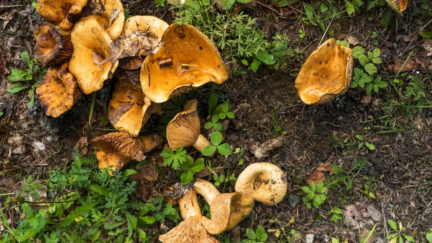 Фото: freepik.com