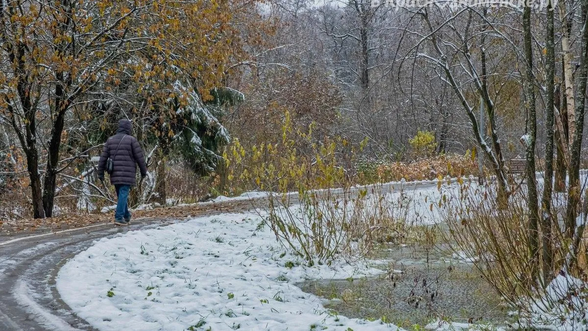 фото: Telegram-канал "Краснознаменск новости"