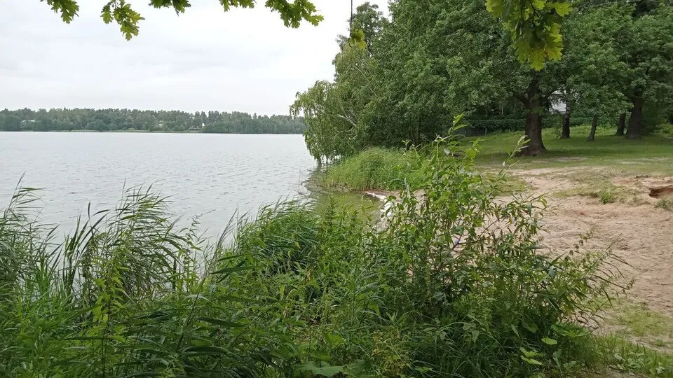 Фото: пресс-служба Министерства экологии и природопользования Московской области