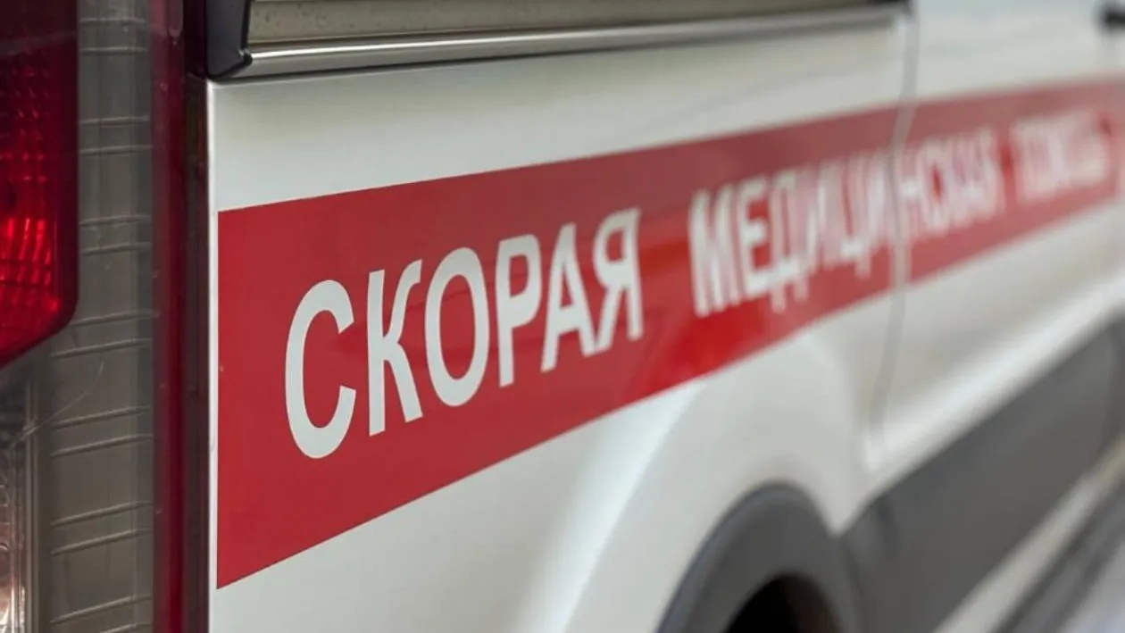 Картинка