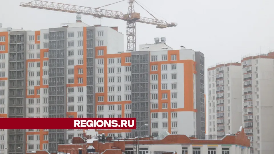 Фото: Алексей Грызлов