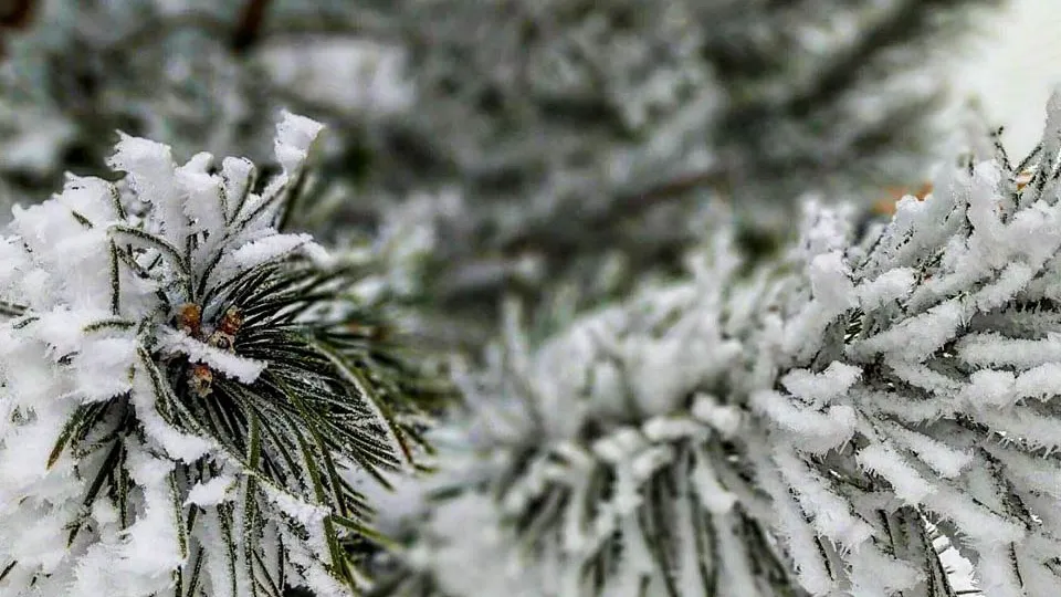 Фото: REGIONS/Роман Малышенко