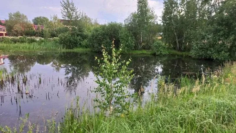 Фото: Минэкологии Московской области