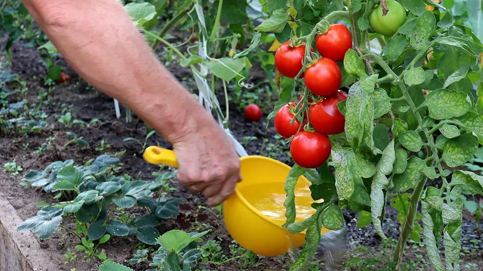 Фото: istockphoto.com