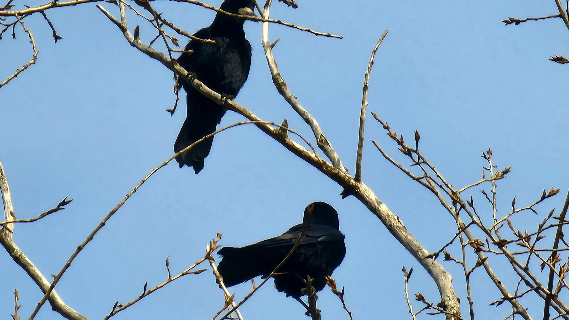 МедиаБанк Подмосковья/Мария Панина