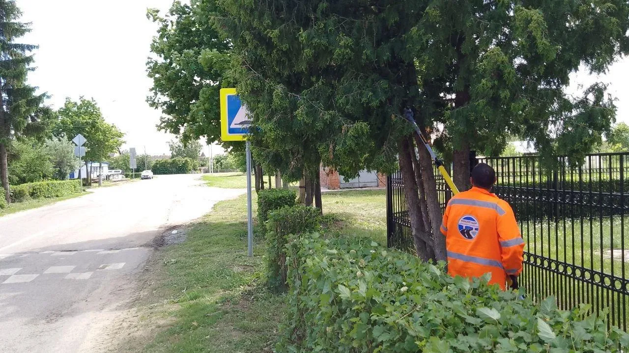 Фото: Минтранс Подмосковья