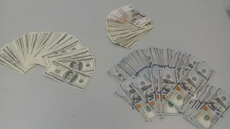 Пресс-служба Домодедовской таможни