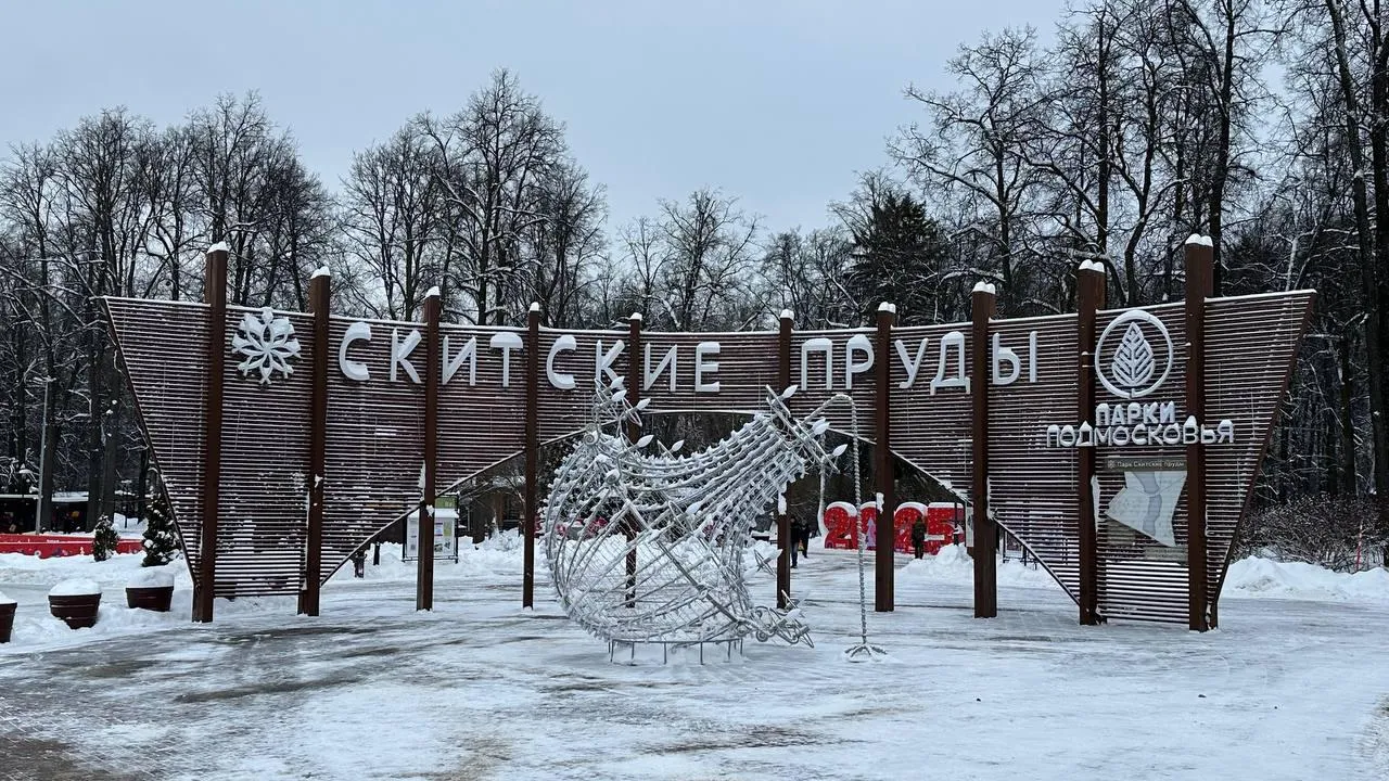 Фото: пресс-служба администрации г.о. Сергиев Посад