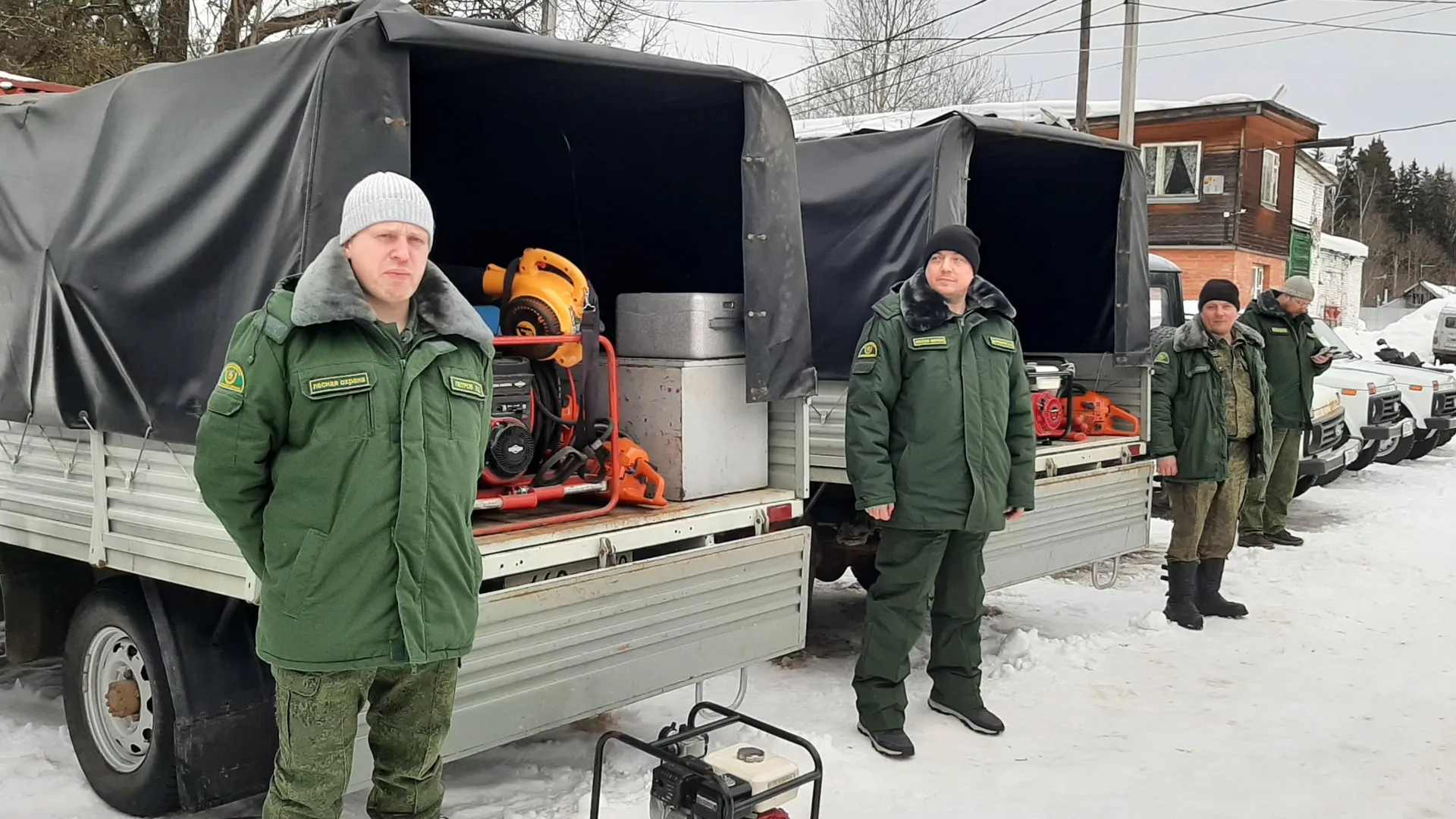 Фото: пресс-служба Комитета лесного хозяйства Московской области