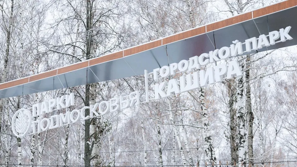 Фото: пресс-служба администрации г.о. Кашира