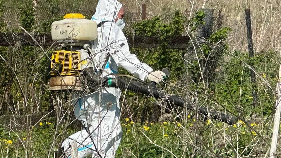 Фото: МедиаБанк Подмосковья/Анна Шолохова