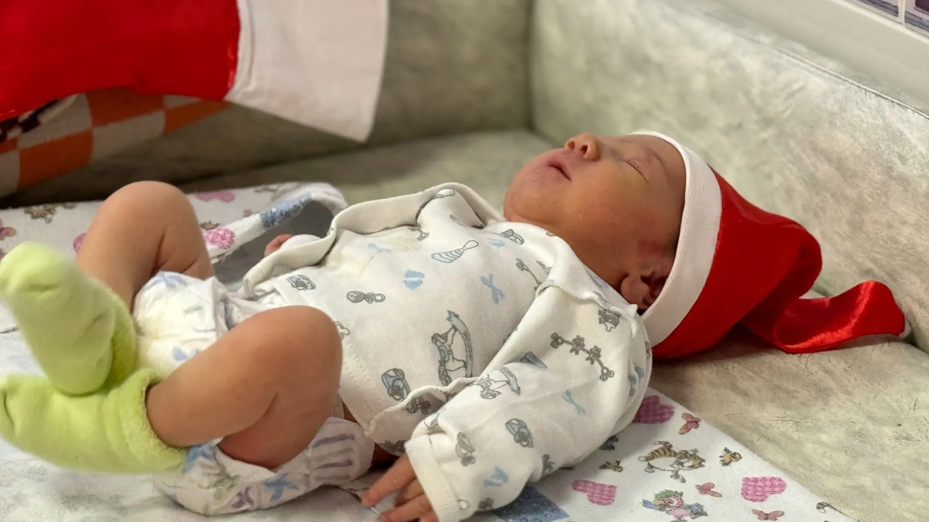 Фото: МедиаБанк Подмосковья/Полина Абраменко