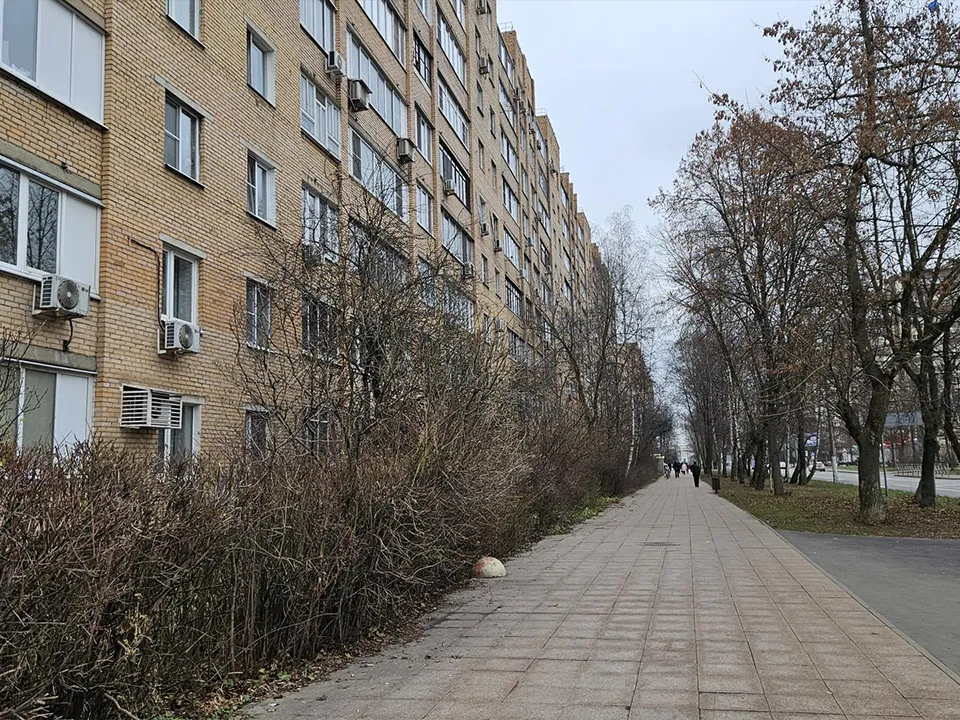 Фото: МедиаБанк Подмосковья/Вероника Горбачева