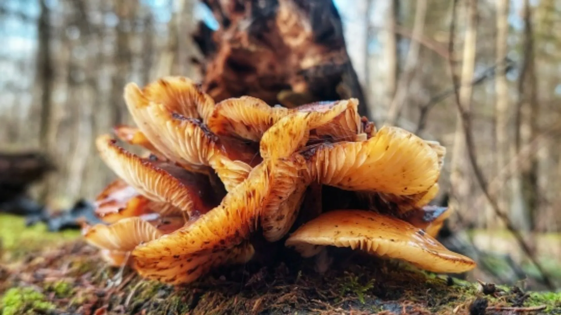 Фото: Василий Потапов