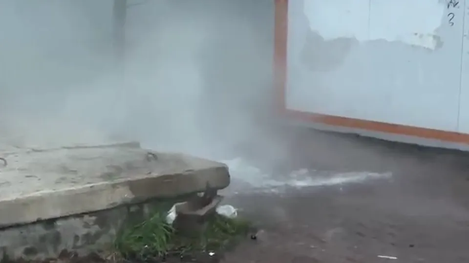 Фото: vk.com/Светлана Стрельникова