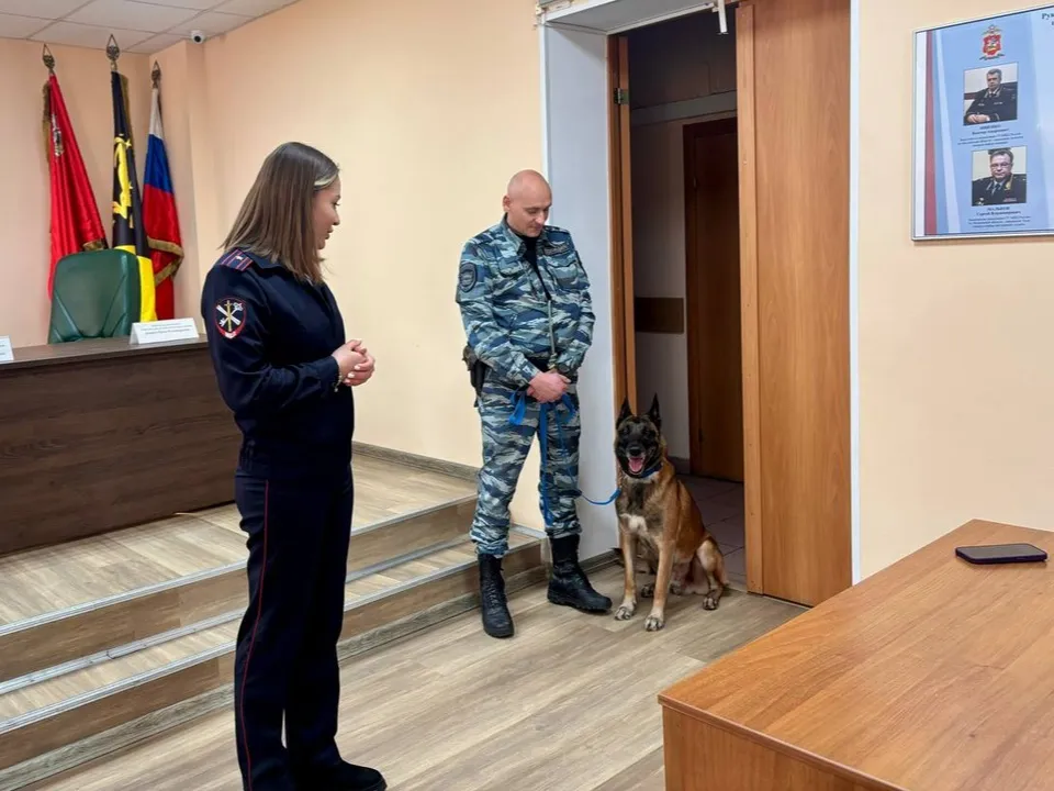 Фото: УМВД России по г.о. Химки