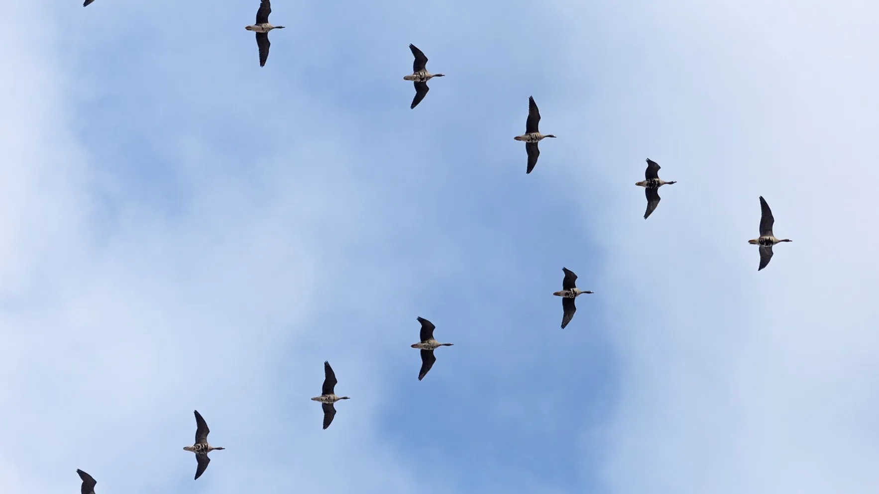 Фото: Дмитрий Гончаров