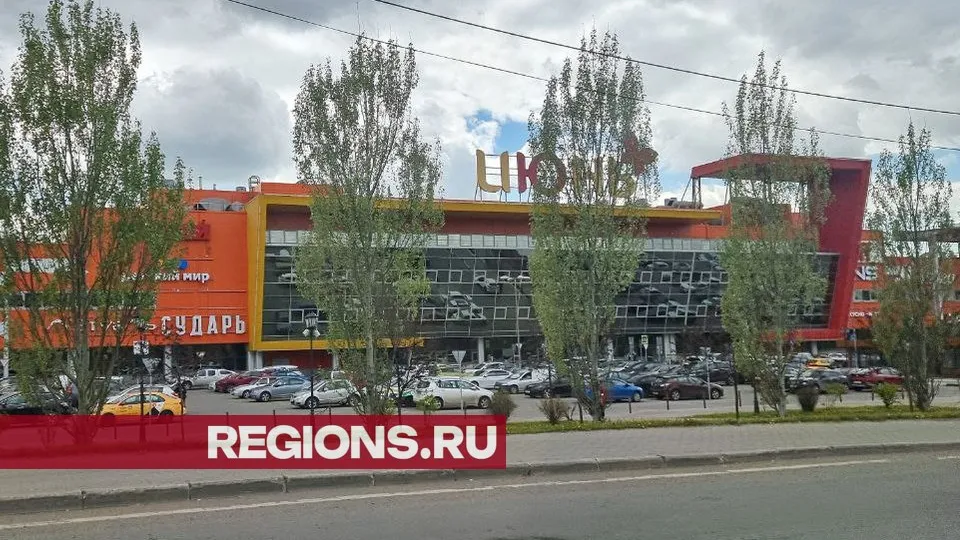 Фото: REGIONS/Юлия Алабина