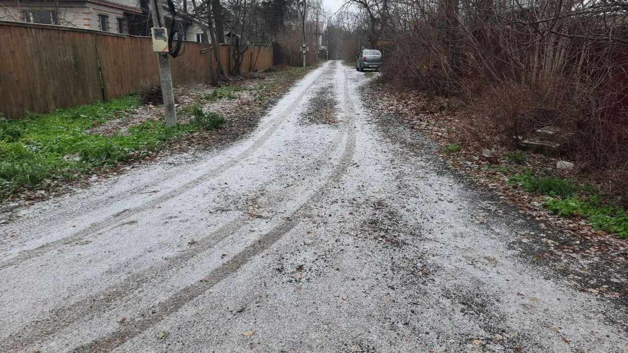 Фото: МедиаБанк Подмосковья/Ирина Моисеева