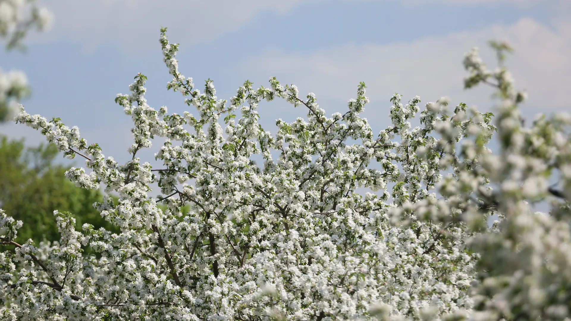 Фото: медиасток.рф