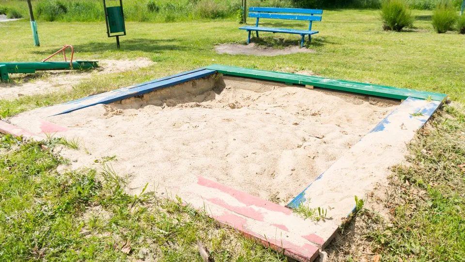 Фото: freepik.com